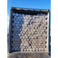 Wholesale of galvanized welded wire mesh